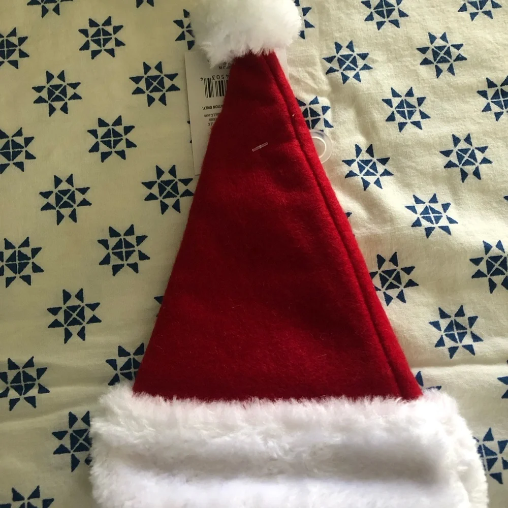 Santa Christmas cat for cat
